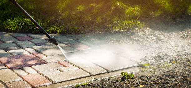 Best Animal Enclosure Cleaning  in Stoughton, WI